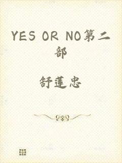 YES OR NO第二部